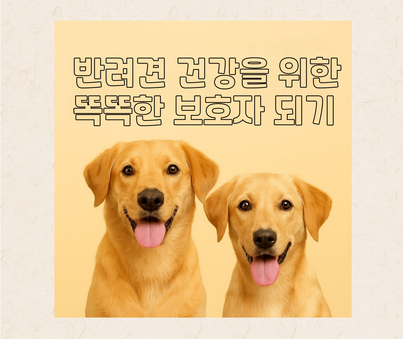 과정 썸네일